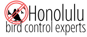img/cropped-honolulu-bird-control-experts-logo.png